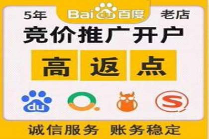 搜索引擎关键词竞价排名的策略调整与案例